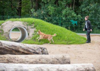 Vilniuje šunų lauks naujos aikštelės