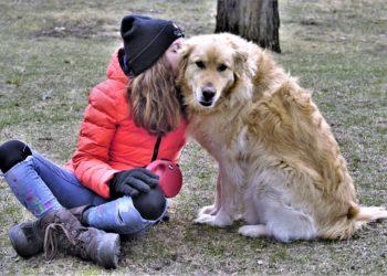 Gyvūnai – nuotolinio mokymosi pagalbininkai