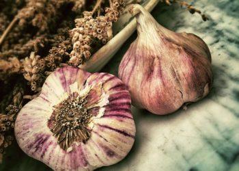 Daržovės, česnakai