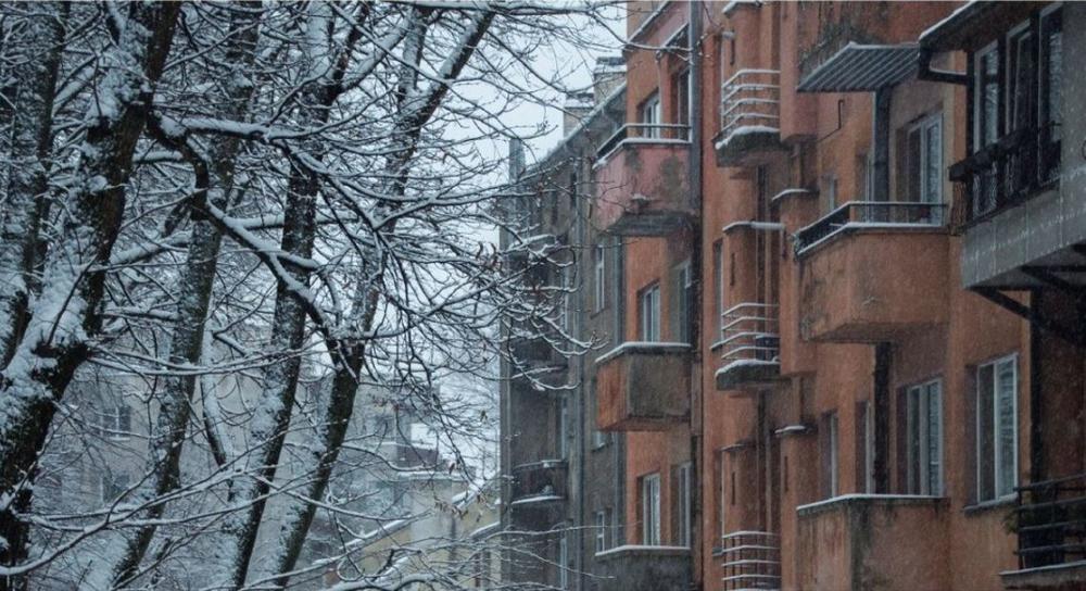 V. Kuprevičiaus stipendija – fotografei M. Gineikaitei už darbą apie tarpukario modernizmo ir medžio santykį