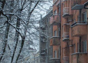 V. Kuprevičiaus stipendija – fotografei M. Gineikaitei už darbą apie tarpukario modernizmo ir medžio santykį