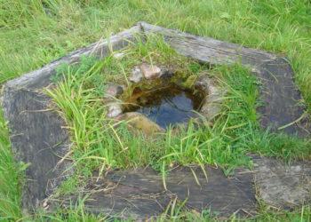 Tyrimas: šaltiniuose – gero vandens klodai