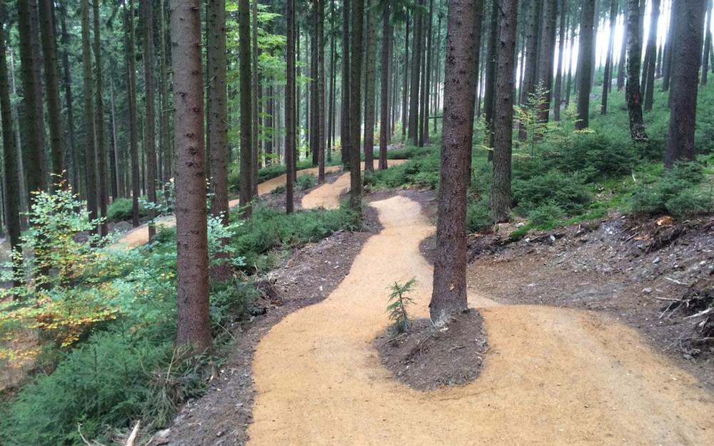 Kalnų dviračių trasa |„Velosolutions“ nuotr.