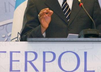 Vidaus reikalų ministrė kreipėsi į Interpolą