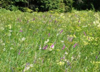 Parama darnumo su gamta ieškantiems ūkininkams
