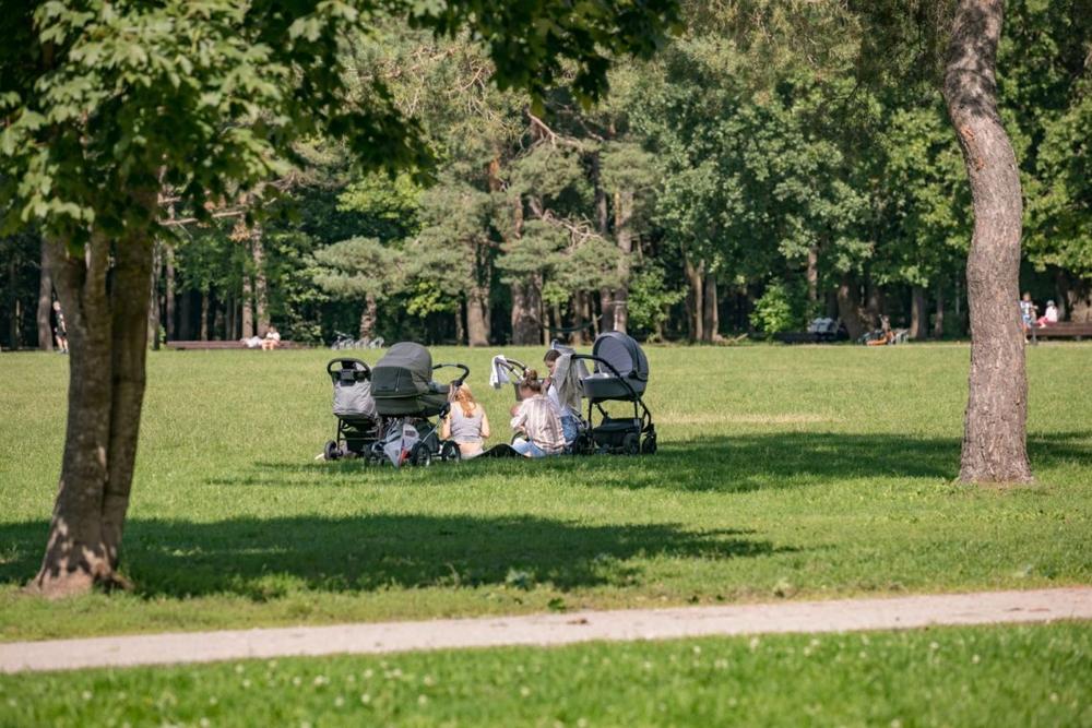 Vilniečiams – raginimai saugotis erkių