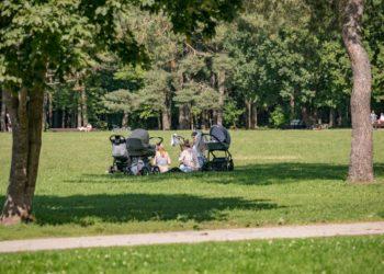 Vilniečiams – raginimai saugotis erkių