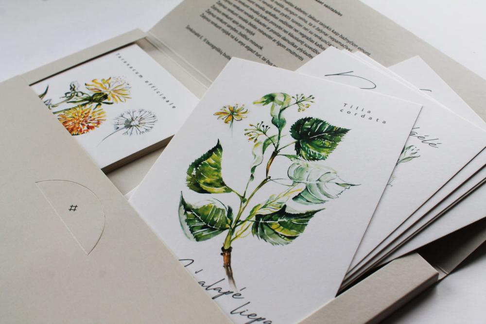 Bus pristatytas naujas žolininkei E. Šimkūnaitei skirtas leidinys