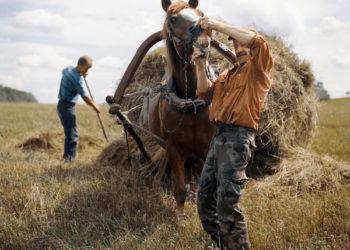 Vilniaus miesto gatvėse – Tado Kazakevičiaus įamžintas nykstantis Lietuvos kaimas