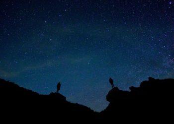 P.S. Krivickas. Kas gali nuspėti laimę? (video)