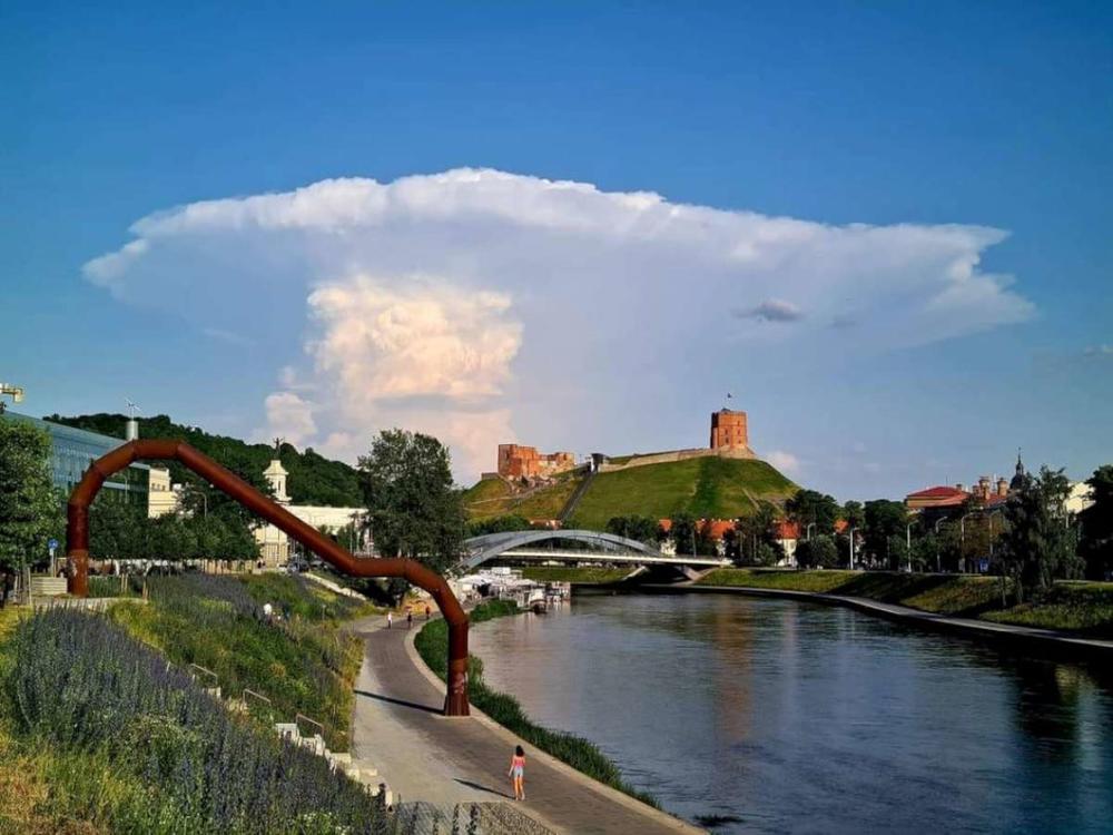 R. Čepaitienė. Kieno demokratija?