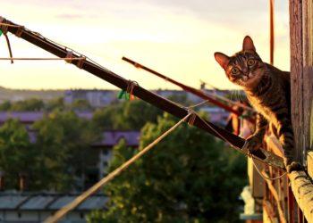 Balkonai: kieno nuosavybė ir ko negalima juose daryti?