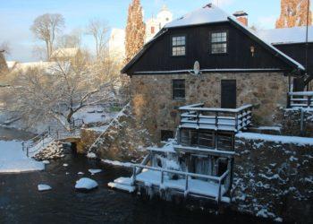 Seime susibūrusi laikinoji Žemaičių grupė tęsia veiklą