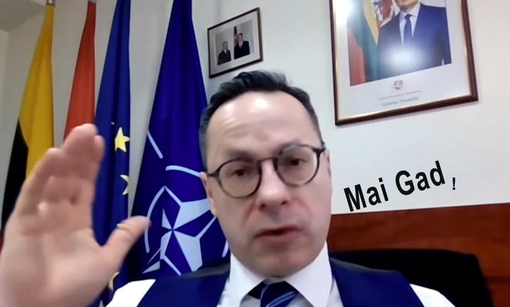 M. Puidokas. Ž. Pavilionis privalo trauktis prisiimdamas atsakomybę už Prezidento menkinimą ir kitas klaidas