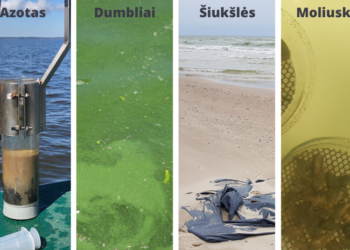 Baltijos jūros būklei gerinti įgyvendinamos 5 priemonės