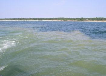 Stebimas Baltijos jūros vandens „žydėjimas“