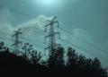 Elektros tinklų apsaugos zonoje esantys aukšti medžiai galės būti pašalinami