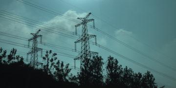 Elektros tinklų apsaugos zonoje esantys aukšti medžiai galės būti pašalinami