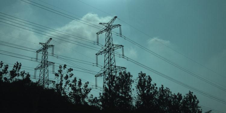 Elektros tinklų apsaugos zonoje esantys aukšti medžiai galės būti pašalinami