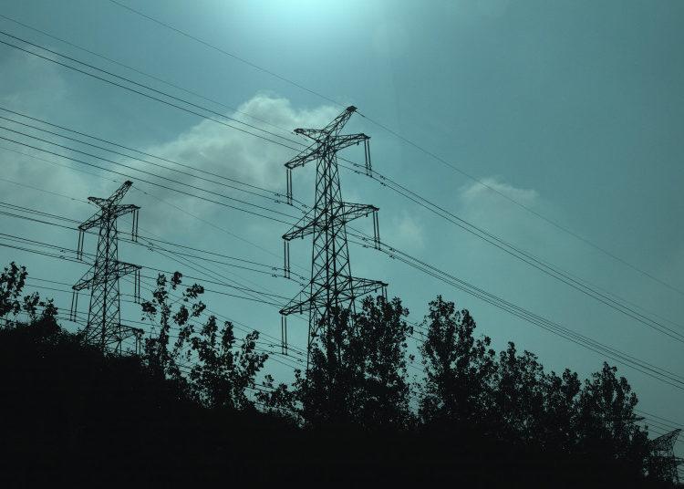 Elektros tinklų apsaugos zonoje esantys aukšti medžiai galės būti pašalinami