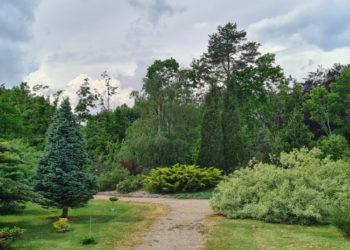 Dubravos arboretume – 750 naujų augalų rūšių