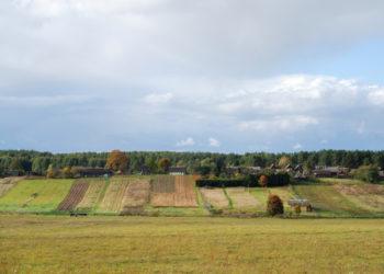 Aplinkosaugos standartus keliantiems ūkiams siūloma ekoschema – rinktis iš 12 gamtai palankių veiklų