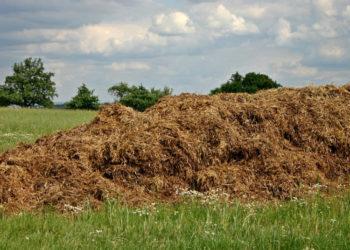 Skatinama keisti mineralines trąšas organinėmis