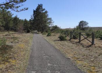 Bus atnaujintas takas Smiltynė–Nida