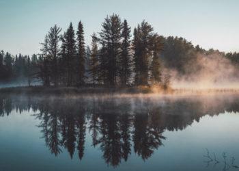 Po liepos 1 d. miškai bus prižiūrimi „keturių akių“ kontrolės principu
