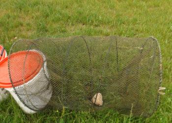 Aplinkosaugininkai: žvejoti bučiukais ir tinklais griežtai draudžiama