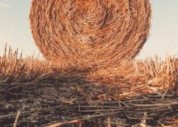 AAD: draudžiama deginti ražienas, žolę ir šiaudus