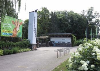 Liko trys dienos atsisveikinti su zoologijos sodo gyvūnais prieš jį uždarant