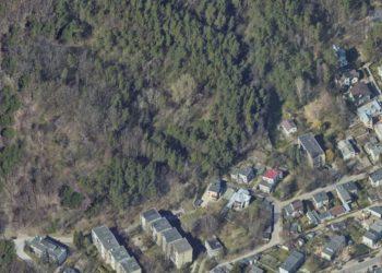 A. Stabrauskas. Karoliniškių kraštovaizdžio draustinio baltoji tuopa Milžinė