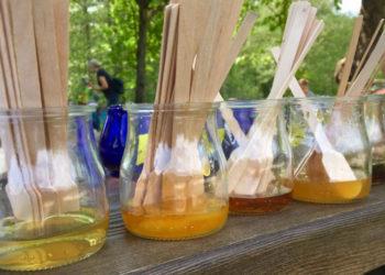 Rengiama medkopio pabaigos šventė Aukštaitijoje