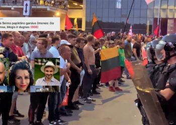 J. Vaiškūnas. Puolusieji