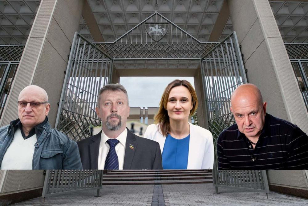 Šeimų sąjūdžio atstovai susitiks su Seimo pirmininke (tiesiogiai 10.30 val.)
