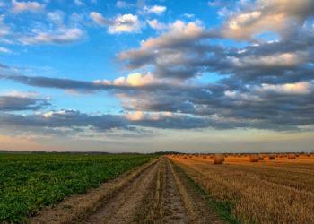 Įtarimų keliančios NŽT laukia auditas