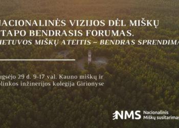 Nacionalinio susitarimo dėl miškų ateities kūrimas baigiamas forumu (tiesioginė transliacija)