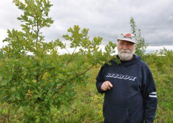 F. Žemulis. 20 metų paskui Sniego žmogų