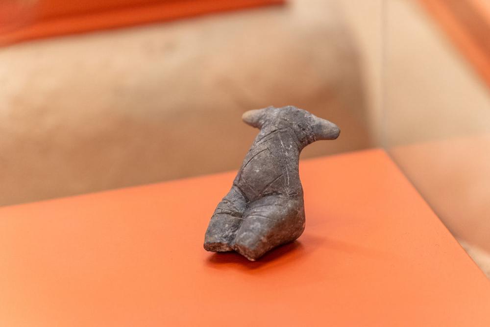 7 tūkst. metų senumo Senosios Europos deivės atkeliavo į Lietuvą