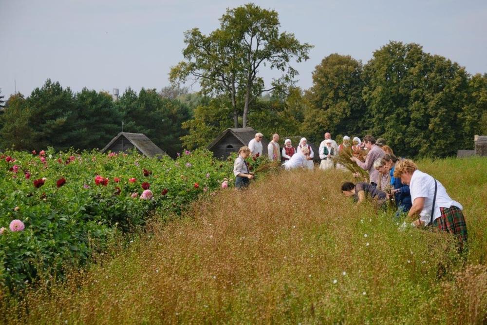 Linarovis Kleboniškių kaime atgaivino nykstančius papročius