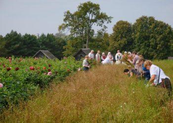 Linarovis Kleboniškių kaime atgaivino nykstančius papročius