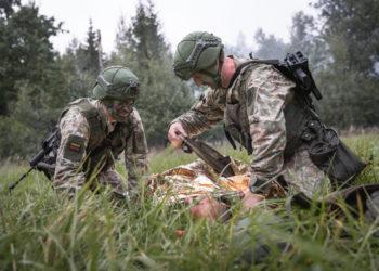 Seimas spręs dėl Lietuvos kariuomenės veterano statuso įteisinimo