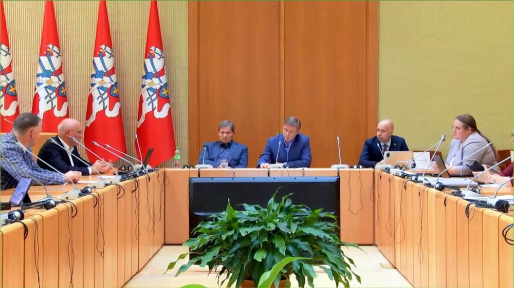 Šešėlinės Vyriausybės posėdis | Alkas.lt ekrano nuotr.