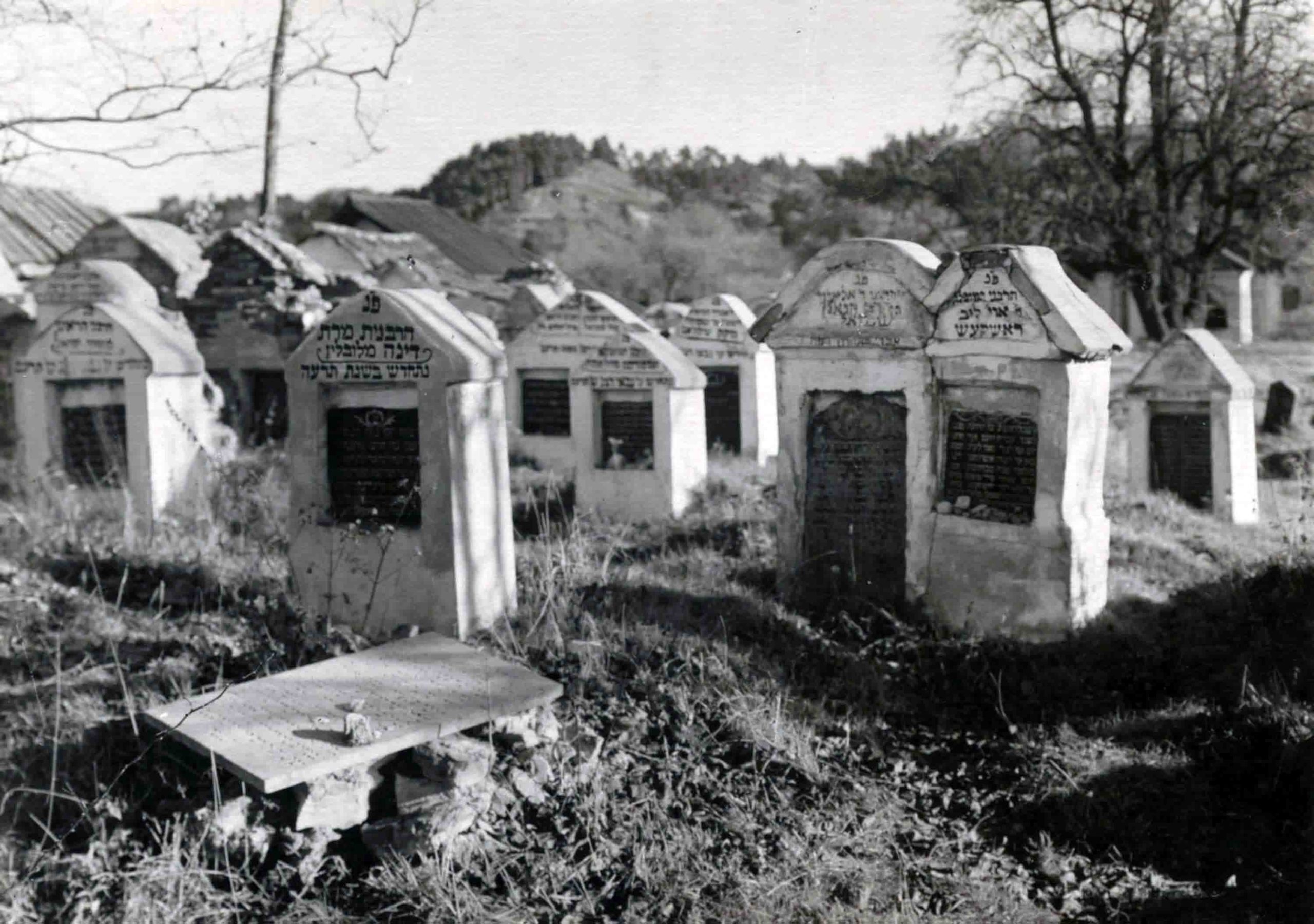 Fotografo Jano Bulhako 1913 m. senųjų Žydų kapinių Šnipiškėse antkapių nuotrauka | LMAVB_RSS-SFg-2404-5-7 nuotr.