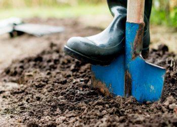 10 dalykų, kuriuos būtina padaryti sode prieš žiemą