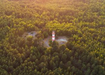 Miškų susitarimo eiga: Kaip kelioliką vizijų paversti viena kryptimi? (video)