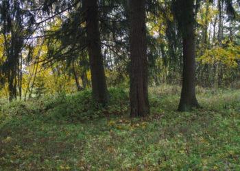 Artėjant Vėlinėms bus tvarkomi pilkapiai