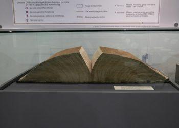 Valstybės archyvai kviečia aplankyti parodą „Archyvai – praeitis ateičiai”