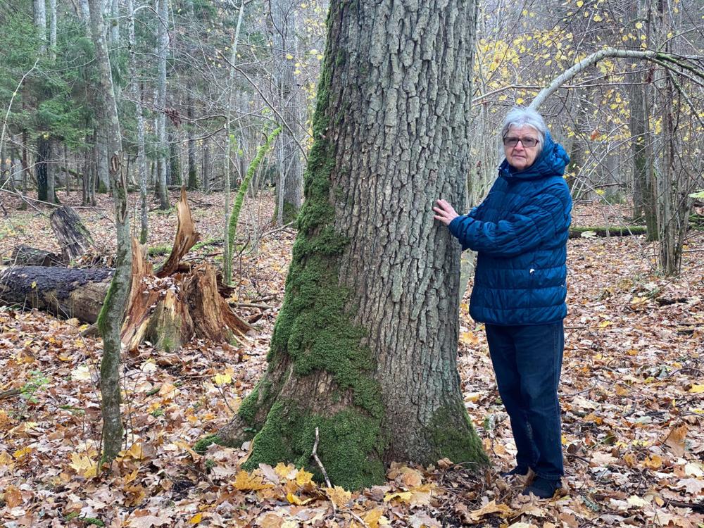 Birutė Galdikas Punios šile | VšĮ Baltijos aplinkos forumas nuotr.